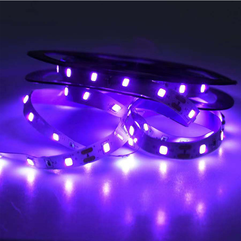 Lampu Ultraviolet LED UV, Lamp - Uv Led Lamp Nail ulasan dan harga